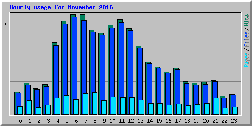 Hourly usage for November 2016