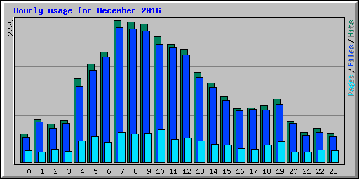 Hourly usage for December 2016