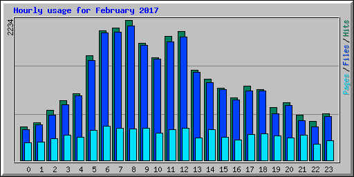 Hourly usage for February 2017