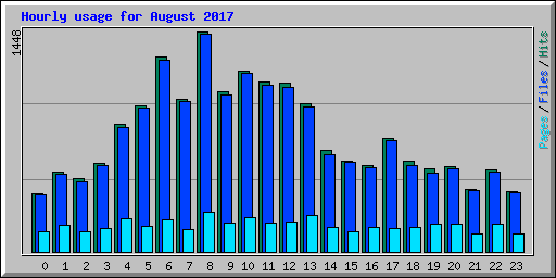 Hourly usage for August 2017
